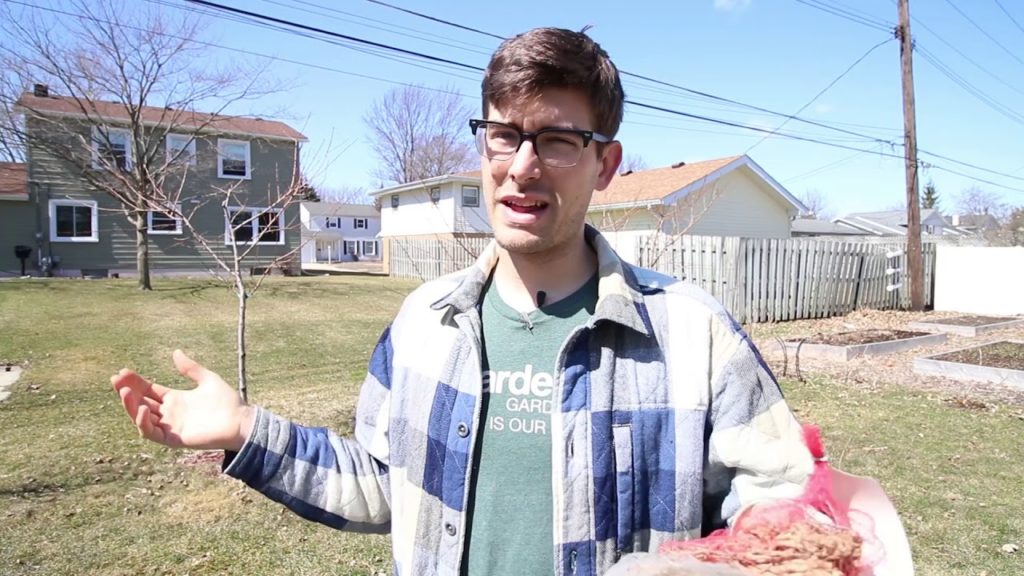 Our New Biointensive Orchard Plans