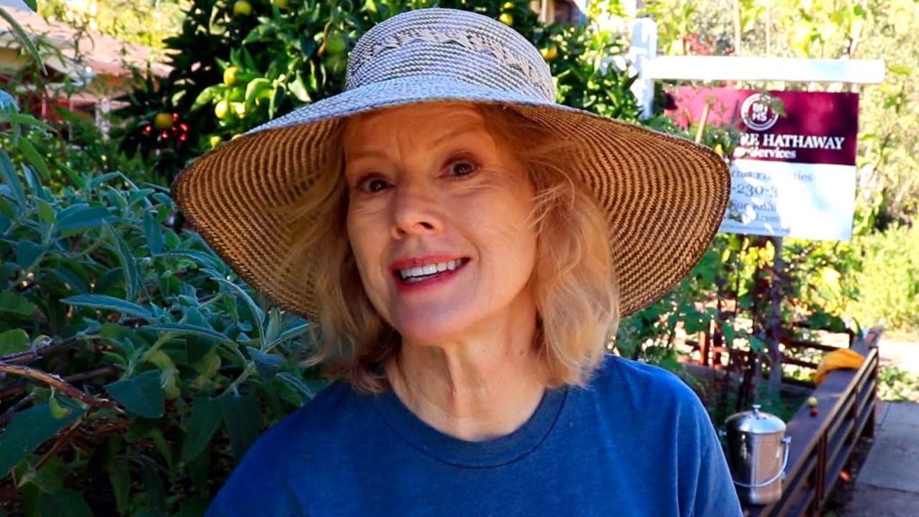 Kaye Kittrell: YOU WON'T BELIEVE how much we cut! Monster Pruning Job YOU WON'T BELIEVE how much we cut! Monster Pruning Job