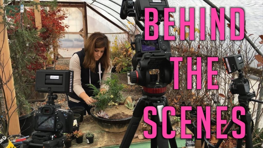 Garden Answer: Nativity Fairy Garden – Behind the Scenes Nativity Fairy Garden - Behind the Scenes