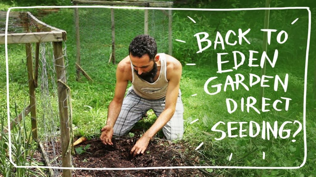 Can I Grow Lettuce Directly on Woodchips?