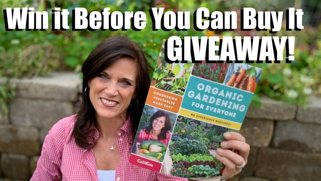 Win My New Book Before You Can Buy It Giveaway - for U.S. AND International Viewers!