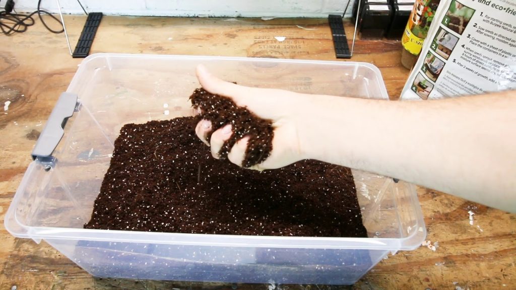 The Beginner's Kit to Mastering Seed Starting - Growing Medium
