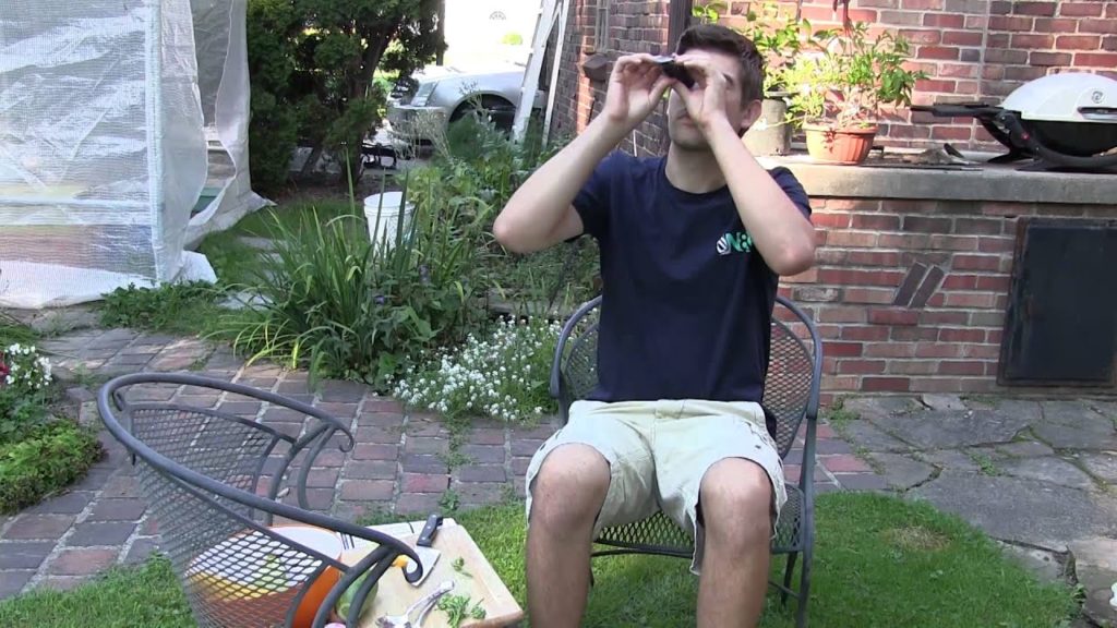 MIgardener: Brix Test Of My Organic Vegetables | MIgardener Brix Test Of My Organic Vegetables | MIgardener