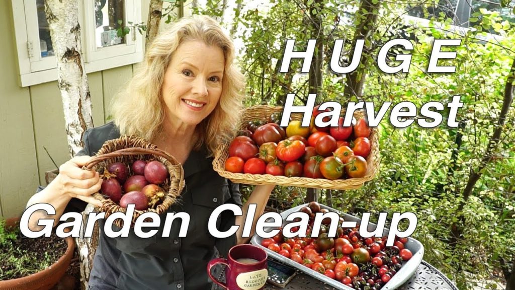 SMALL Garden HUGE HARVEST - Major CLEANUP - Part 1 | Thursday Garden Workday
