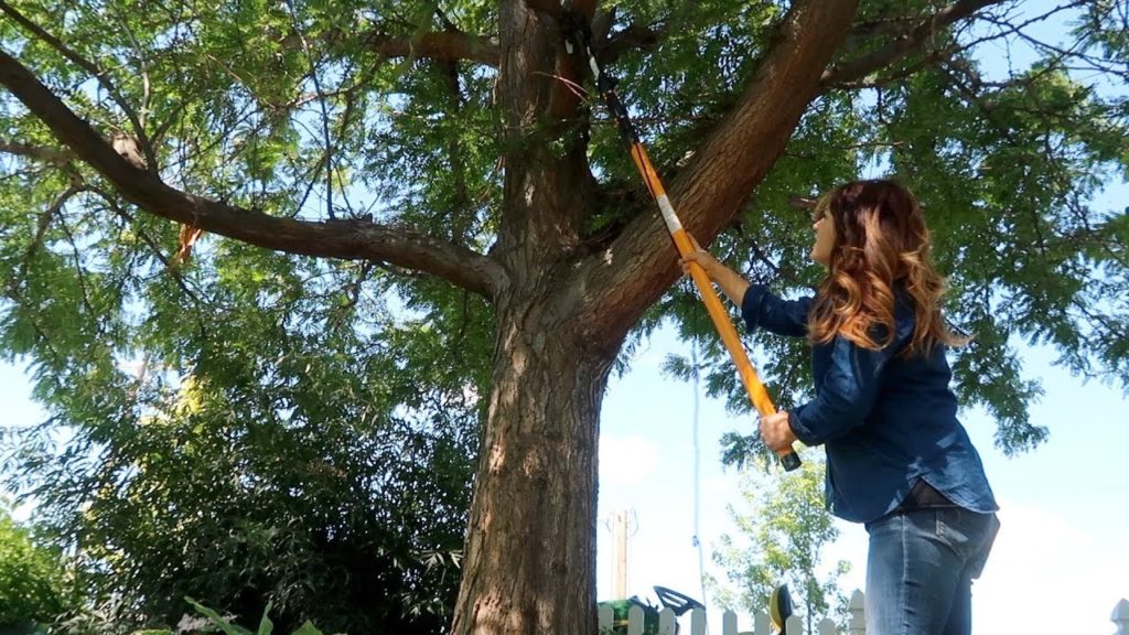 Garden Maintenance Day! 👩‍🌾🌿// Garden Answer
