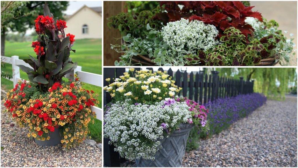 Garden Answer: A Look Back At the Plants that Performed This Year Pt 2 🌿// Garden Answer A Look Back At the Plants that Performed This Year Pt 2 🌿// Garden Answer