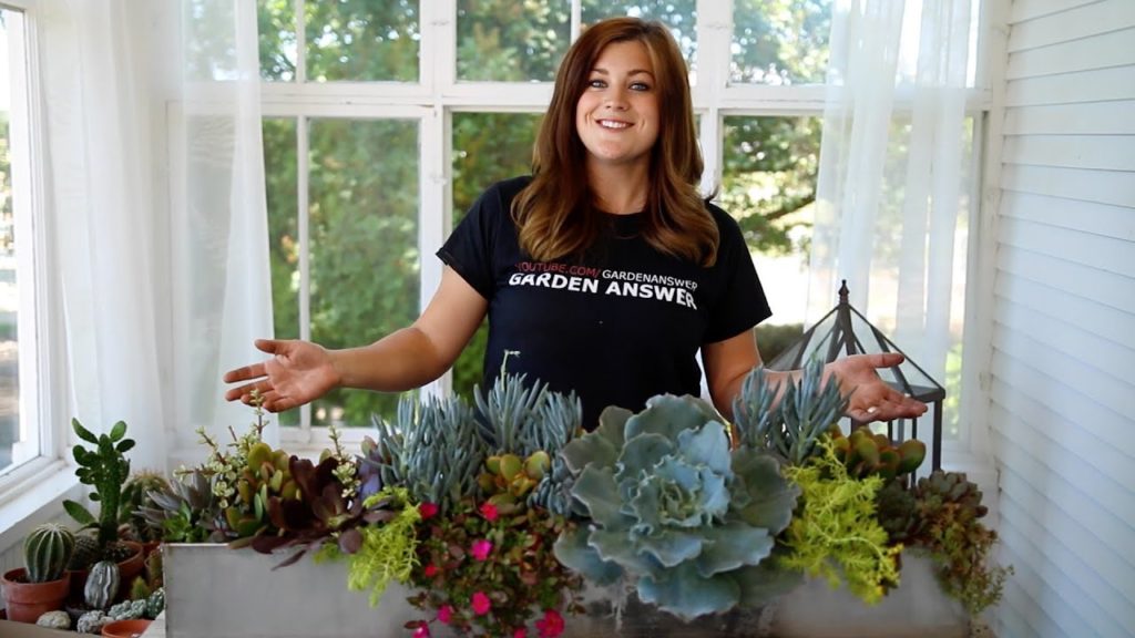 Outdoor Succulent Arrangement (Full Version)