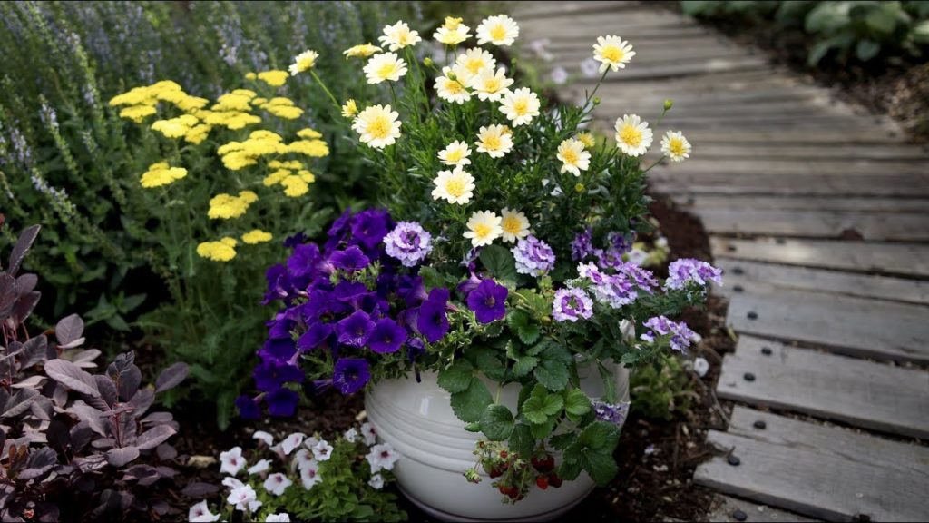 Garden Answer: Flowers + Edibles Container Inspiration! 🍓🌿 // Garden Answer Flowers + Edibles Container Inspiration! 🍓🌿 // Garden Answer