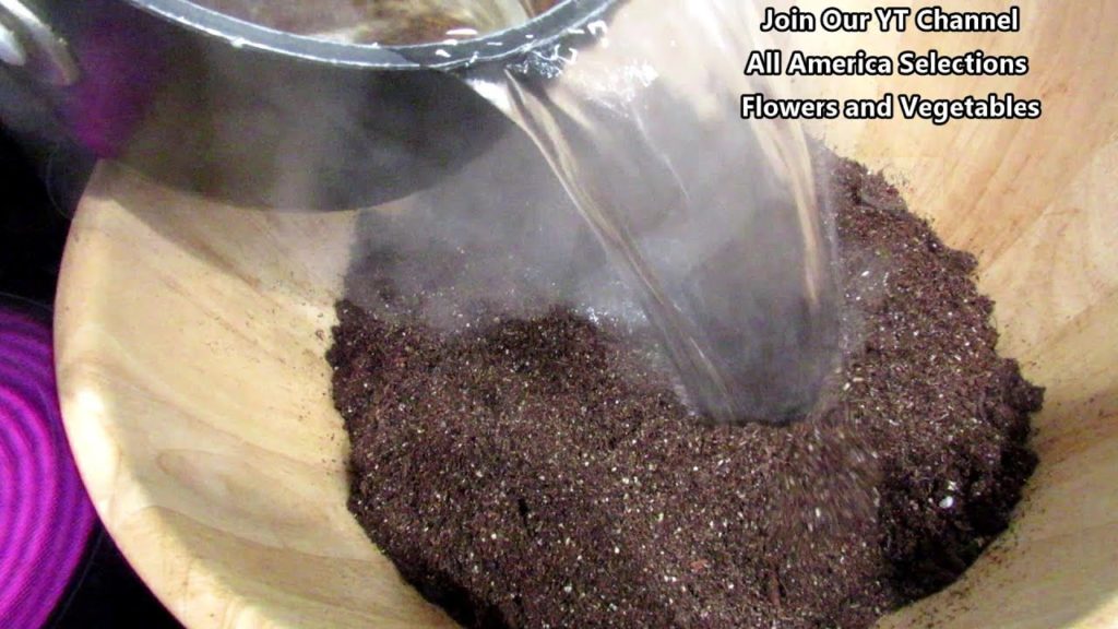All-America Selections Flowers & Vegetables: Two Key Tips for Sterilizing Vegetable Seed Starting Mixes to 100% Prevent Fungus Gnats and Disease Two Key Tips for Sterilizing Vegetable Seed Starting Mixes to 100% Prevent Fungus Gnats and Disease