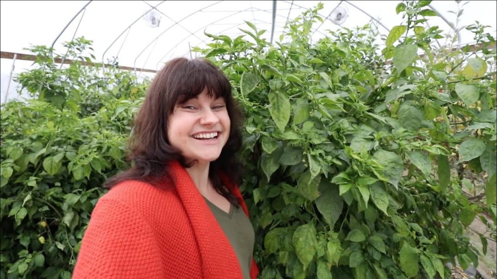Roots and Refuge Farm: Explore Baker Creek Heirloom Seeds with Me!!! | VLOG | Roots and Refuge Explore Baker Creek Heirloom Seeds with Me!!! | VLOG | Roots and Refuge