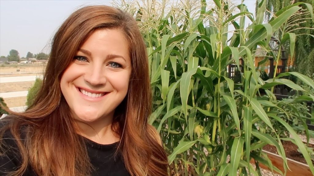 Planting Fall Crops and a Bunch of Other Random Things 👩‍🌾🍂// Garden Answer