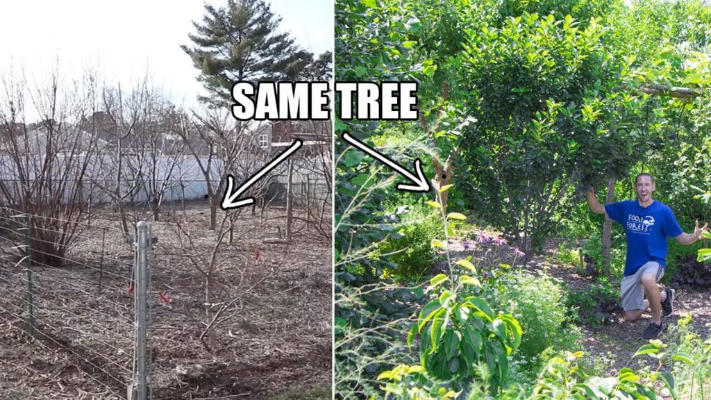 James Prigioni: They doubted my Garden from the Start, but here’s what Happened this year They doubted my Garden from the Start, but here’s what Happened this year