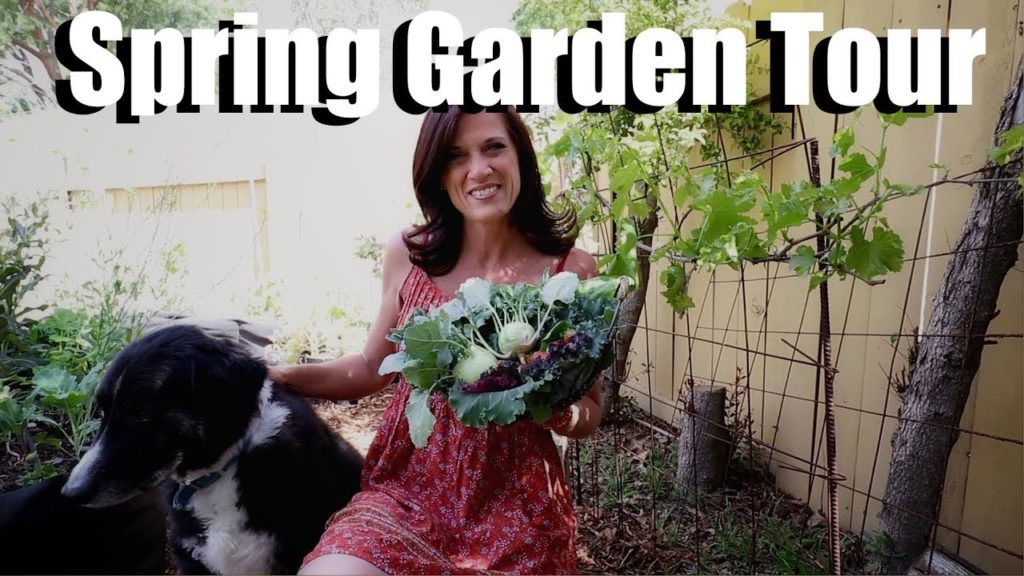 Spring Garden Tour and Surprise Harvest, Tips & Tricks