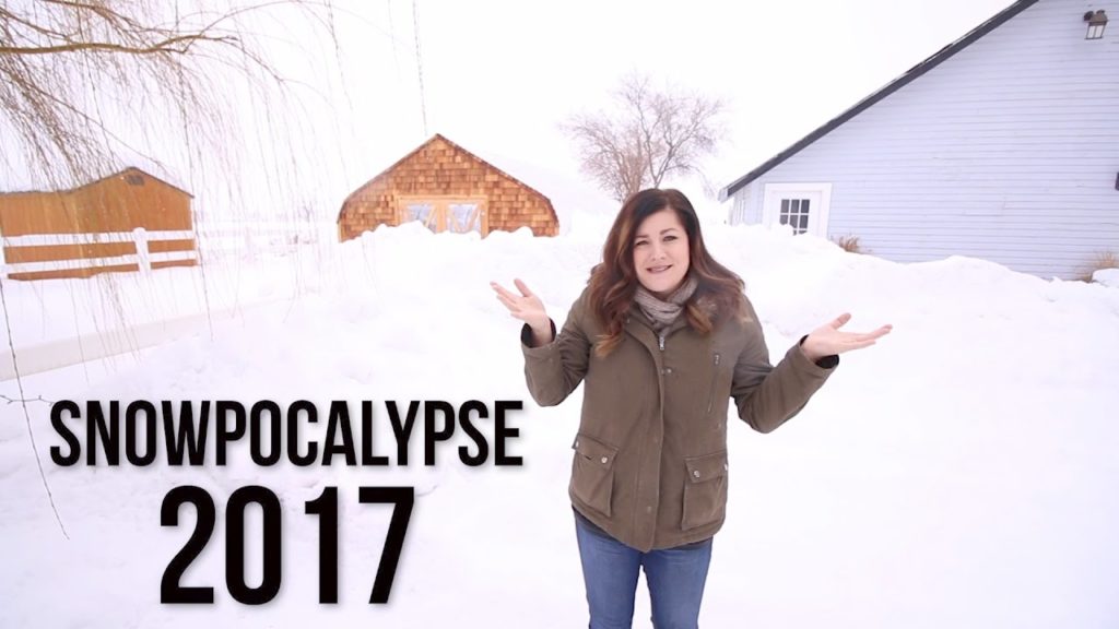 SNOWPOCALYPSE 2017 // Garden Answer