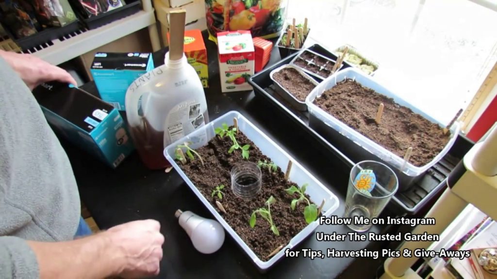 Gary Pilarchik: Complete Tomato Seed Starting Guide: Mixes, Lighting, Feeding, Watering – Table of Contents Complete Tomato Seed Starting Guide: Mixes, Lighting, Feeding, Watering - Table of Contents