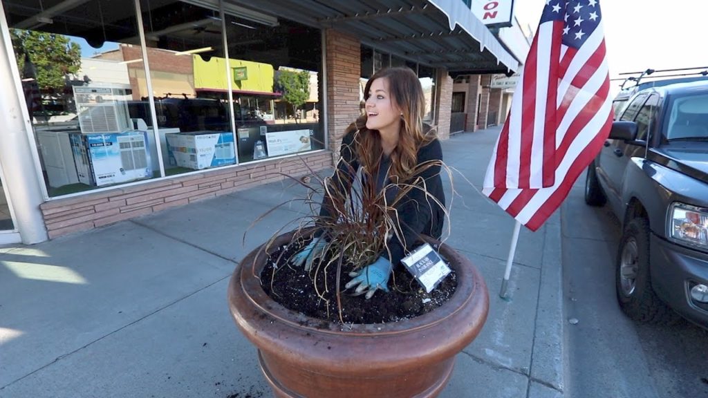Planting Our Downtown Pots // Garden Answer