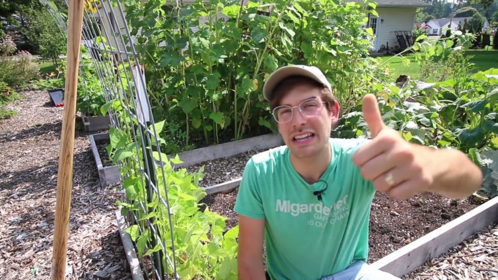 Don’t Make These 5 HUGE Mistakes When Planning & Planting a Fall Garden