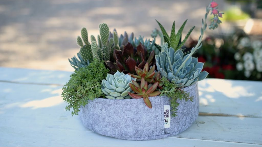 Garden Answer: Succulent Inspiration w/ Root Pouch // Garden Answer Succulent Inspiration w/ Root Pouch // Garden Answer