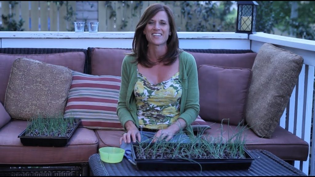 How to Give Your Onion Seedlings a Haircut