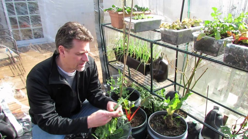 Gary Pilarchik: Fan Finder Promo 1 for the Rusted Vegetable Garden Fan Finder Promo 1 for the Rusted Vegetable Garden