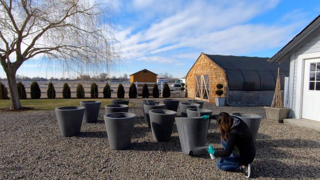 Garden Answer: Annual Container Maintenance! 😊👍// Garden Answer Annual Container Maintenance! 😊👍// Garden Answer