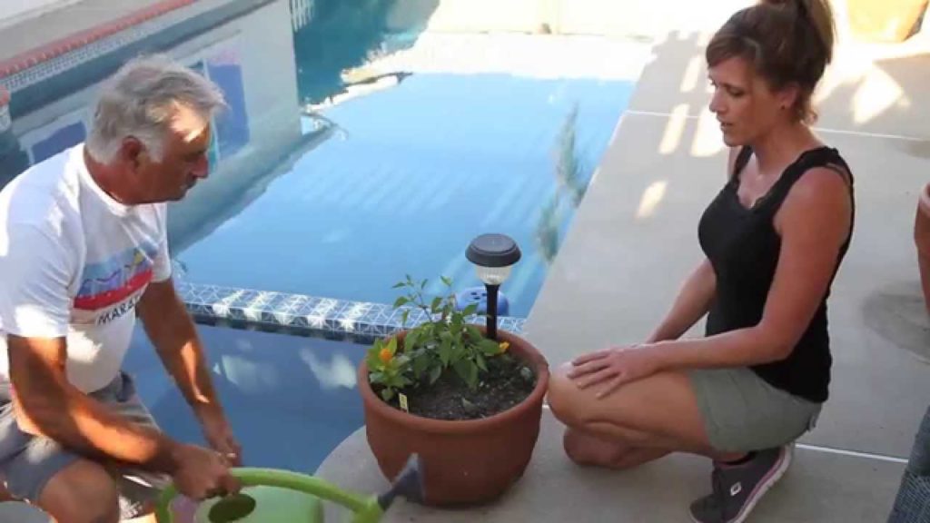 CaliKim: Helping Harrie – Part two – Planting in the Containers Helping Harrie - Part two - Planting in the Containers