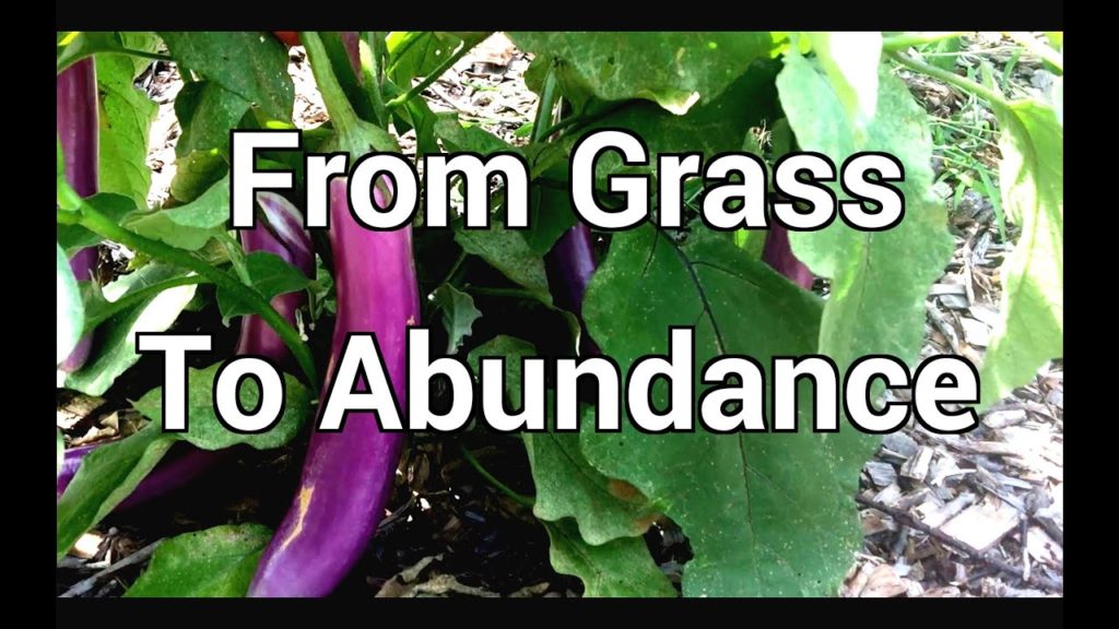 From Grass to Abundance in A Short Time