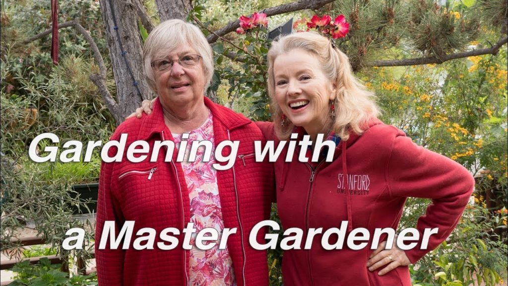 Kaye Kittrell: Gardening Fun with a Master Gardener | Borage, Peas, Roses | Vlog Gardening Fun with a Master Gardener | Borage, Peas, Roses | Vlog