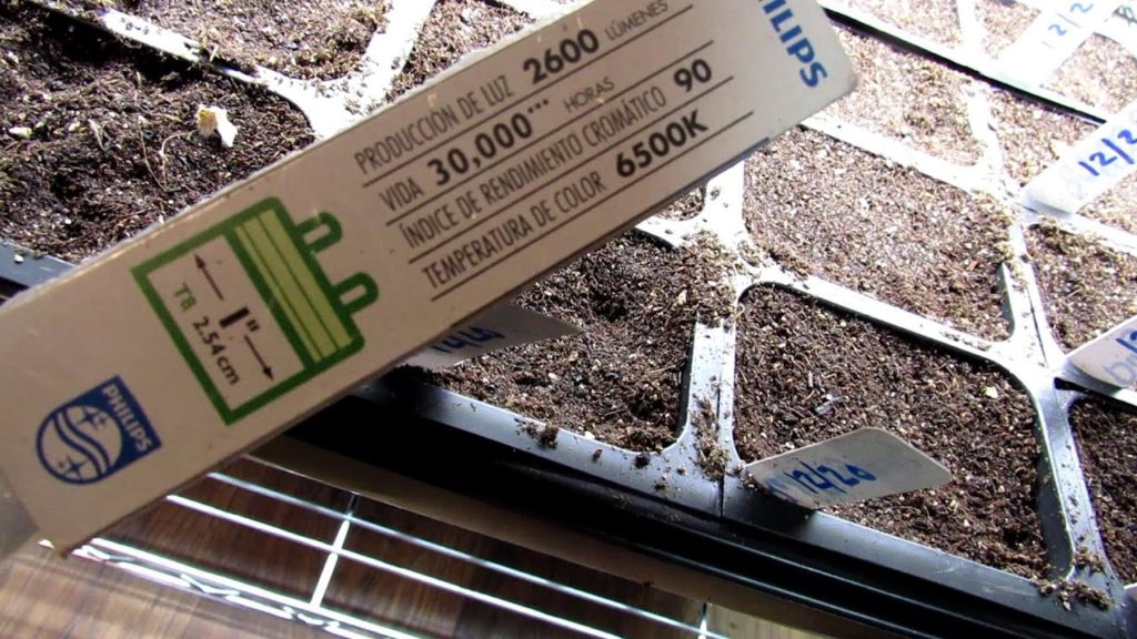 In 60 Seconds or Sow!: Save Money & Build Seed Starting Grow-Lights - 2000+ Lumens & 6500 Kelvin