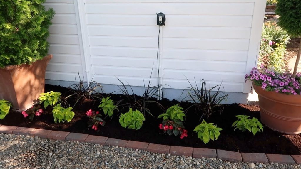 Garden Answer: Planting the North Side of Our Chicken Coop! 🌿// Garden Answer Planting the North Side of Our Chicken Coop! 🌿// Garden Answer