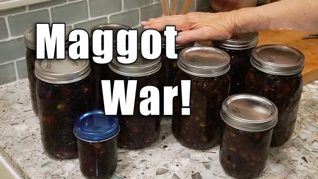 OLIVE Brining  | Salt Brine Method | Garden Vlog