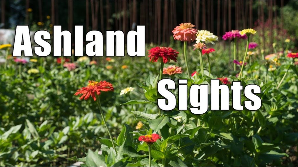 Kaye Kittrell: Ashland Sights | Kentucky Road Trip | Final Segment Part 7 Ashland Sights | Kentucky Road Trip | Final Segment Part 7