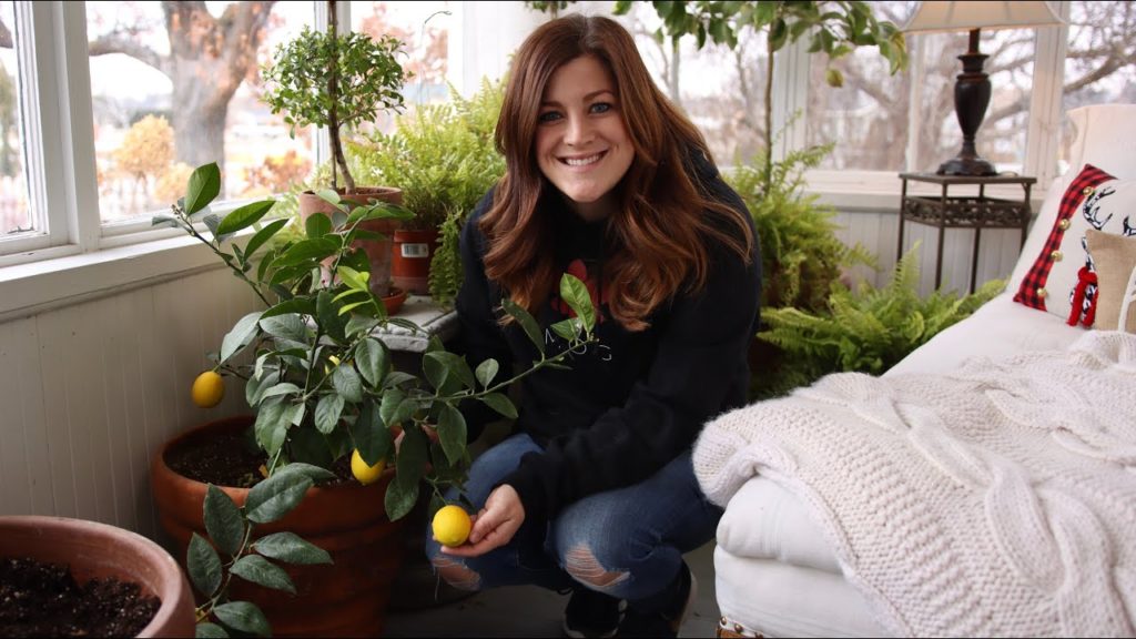 Garden Answer: Citrus Growing Update & Care Tips! 🍋💚// Garden Answer Citrus Growing Update & Care Tips! 🍋💚// Garden Answer