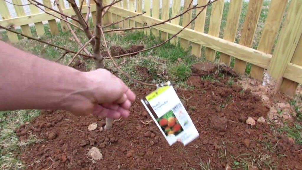 Gary Pilarchik: Tour 4 2019: TRG Homestead – Things are Planted, Nursery Plants Arrived & The Garden is Taking Shape Tour 4 2019: TRG Homestead - Things are Planted, Nursery Plants Arrived & The Garden is Taking Shape