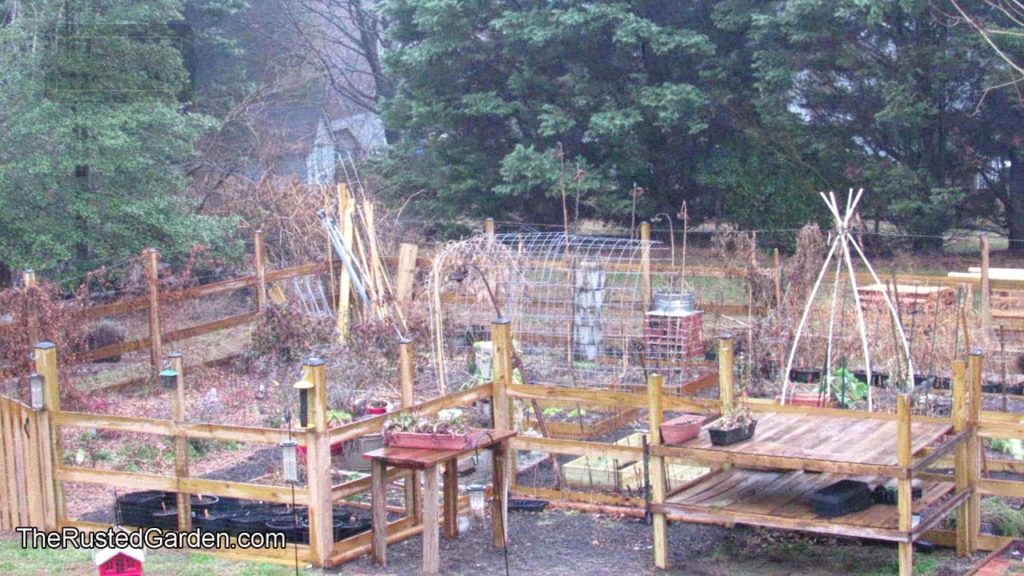 TRG Homestead VLOG E-8: Garden Aerial View, What I Am Seed Starting, Vintage Collectibles & Books