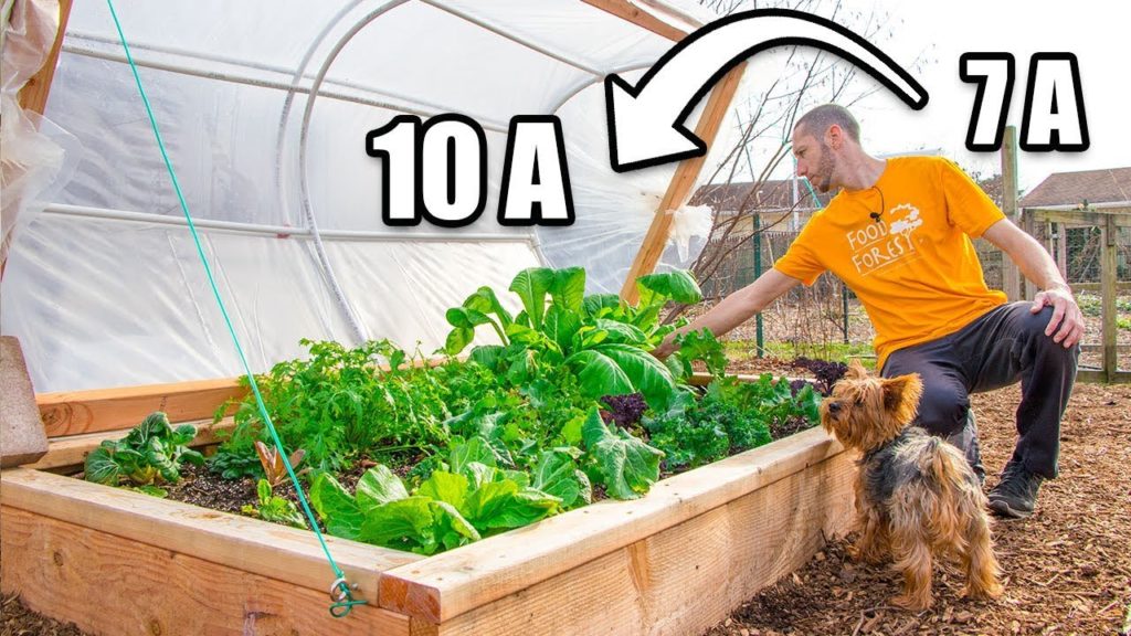 James Prigioni: DIY 2 Layer Hinged Hoophouse, Move Up 3 ZONES! Raised Bed Gardening DIY 2 Layer Hinged Hoophouse, Move Up 3 ZONES! Raised Bed Gardening