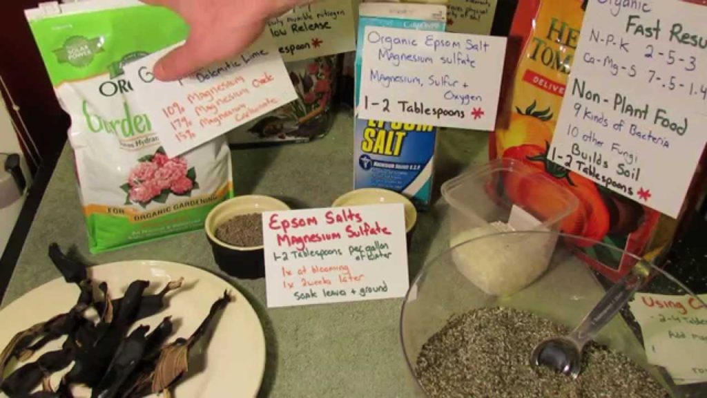 Gary Pilarchik: Vegetable Garden Fertilizers: Calcium (Ca), Magnesium (Mg) and Sulfur (S) – All the Details! Vegetable Garden Fertilizers: Calcium (Ca), Magnesium (Mg) and Sulfur (S) - All the Details!