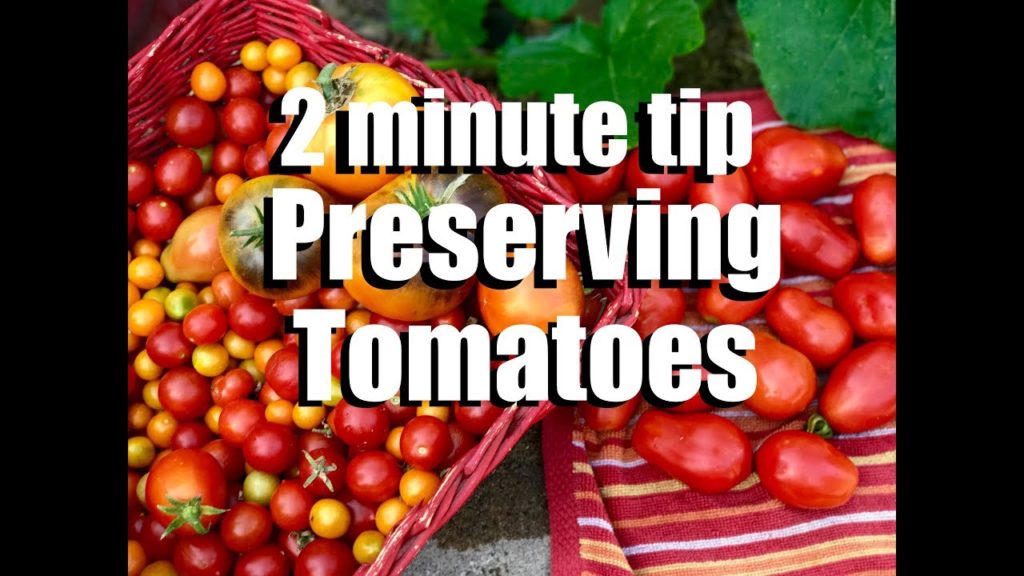 CaliKim: Tomatoes: 2 Quick Ways to Preserve Lots of Tomatoes-Freezing & Oven Drying // CaliKim 2 Minute Tip Tomatoes: 2 Quick Ways to Preserve Lots of Tomatoes-Freezing & Oven Drying // CaliKim 2 Minute Tip