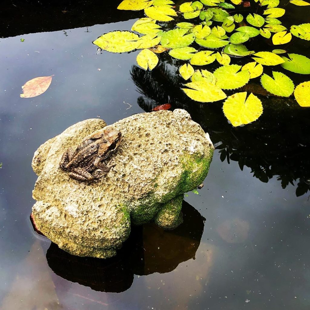 Mommie Dearest #poorparentingskills #heartofstone...