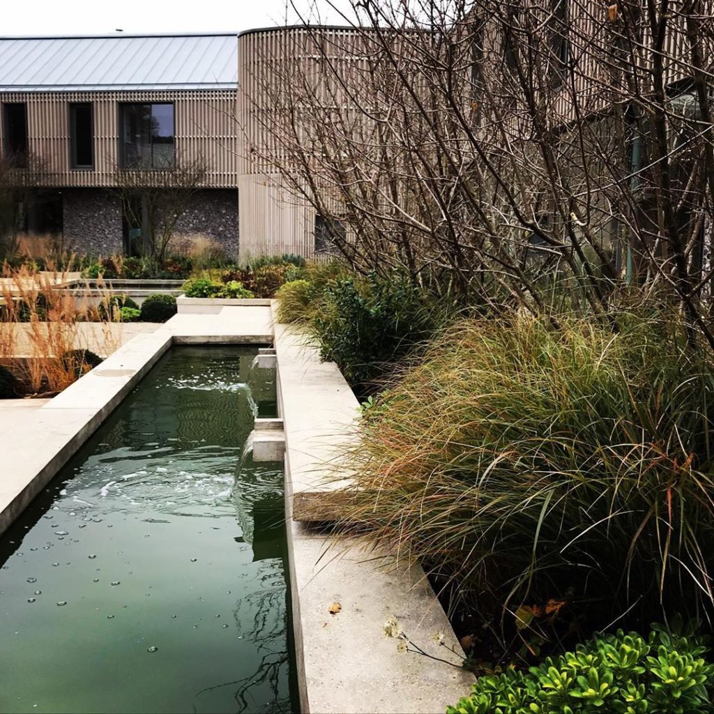 #winter is here.  Our #oxfordshire #garden getting established #oneyearon #lands...