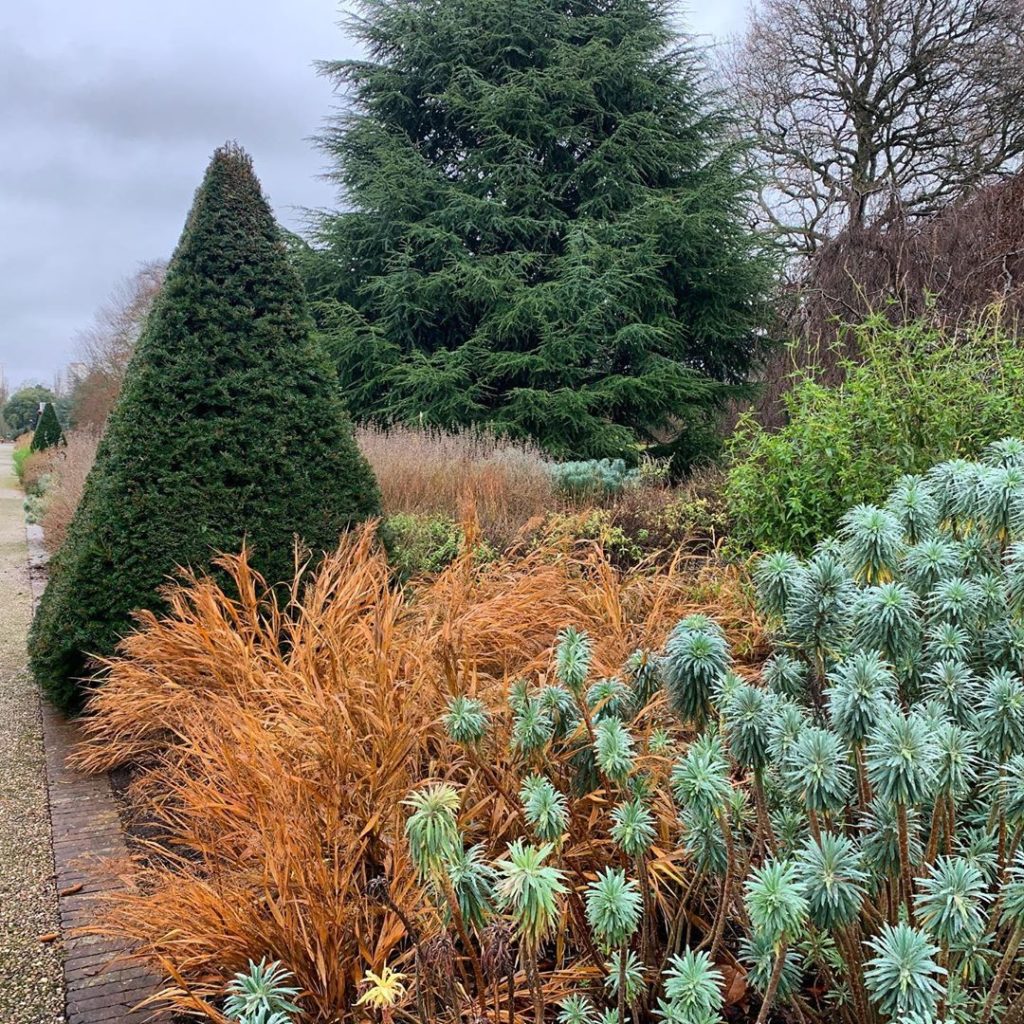 Winter scenes @kewgardens on my walk through to talk to a group of super enthusi...