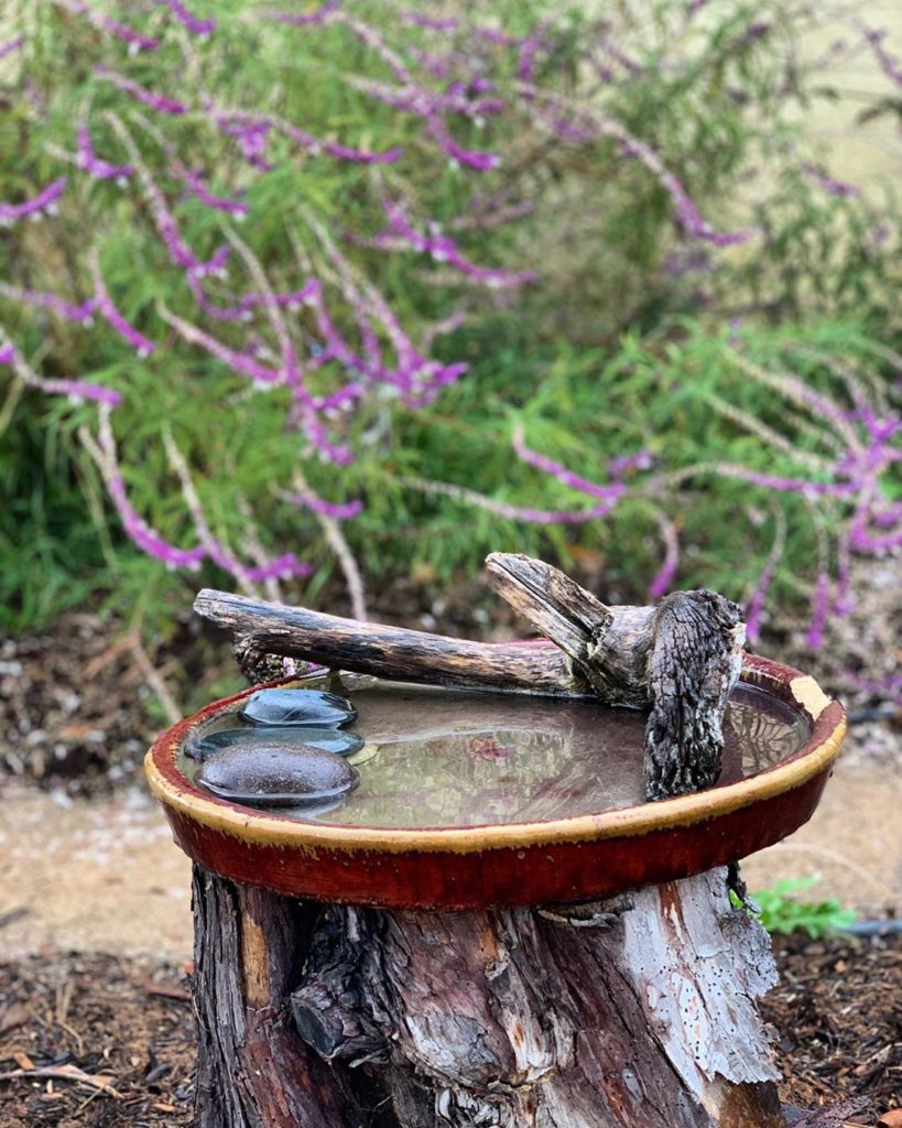Do you have a birdbath in your garden?
.
This is in my aunts front yard, about 6...