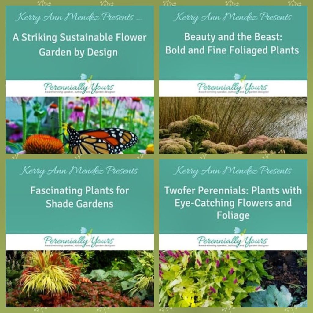 gardendesignmag: Want to continue growing your knowledge of gardening? Enter to win this online l… Want to continue growing your knowledge of gardening? Enter to win this online l...