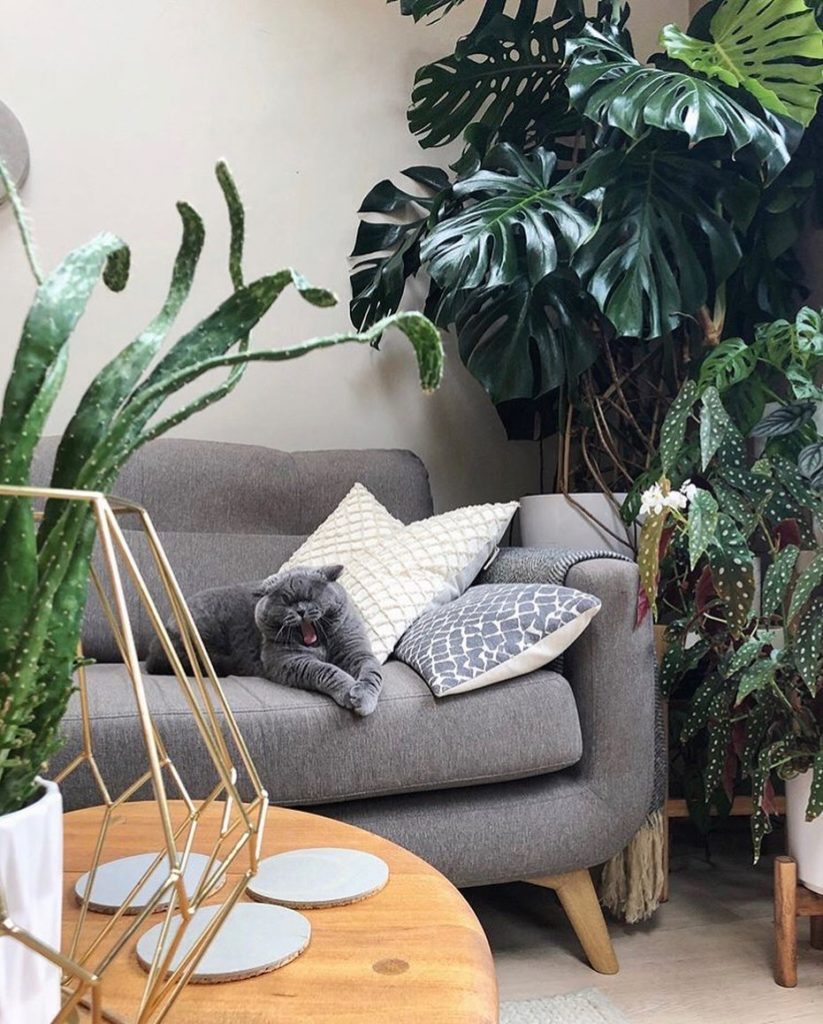 Is it Friday yet?  Photo via @bamaluzhome...