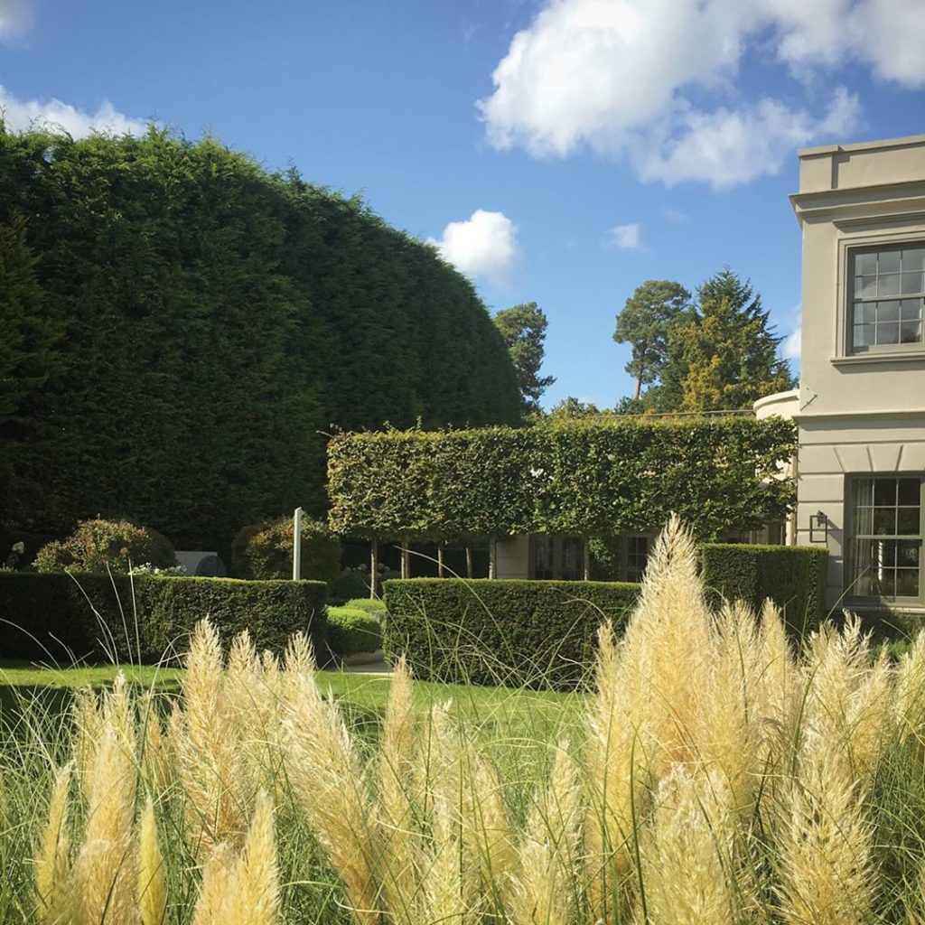 Looking to use plants differently I used two large sways of Pampas Grass (i’m tr...