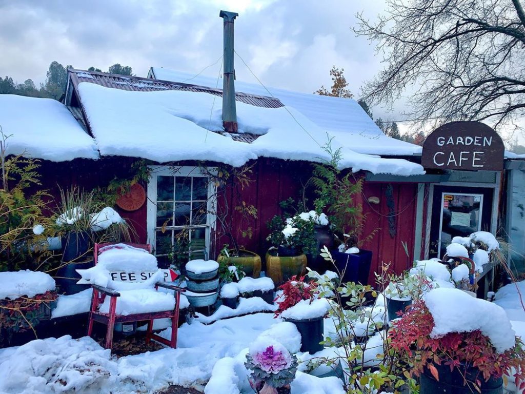 thehorticult: Last summer it was 100 degrees in the shade when our @chantalaida_garden bought … Last summer it was 100 degrees in the shade when our @chantalaida_garden bought ...