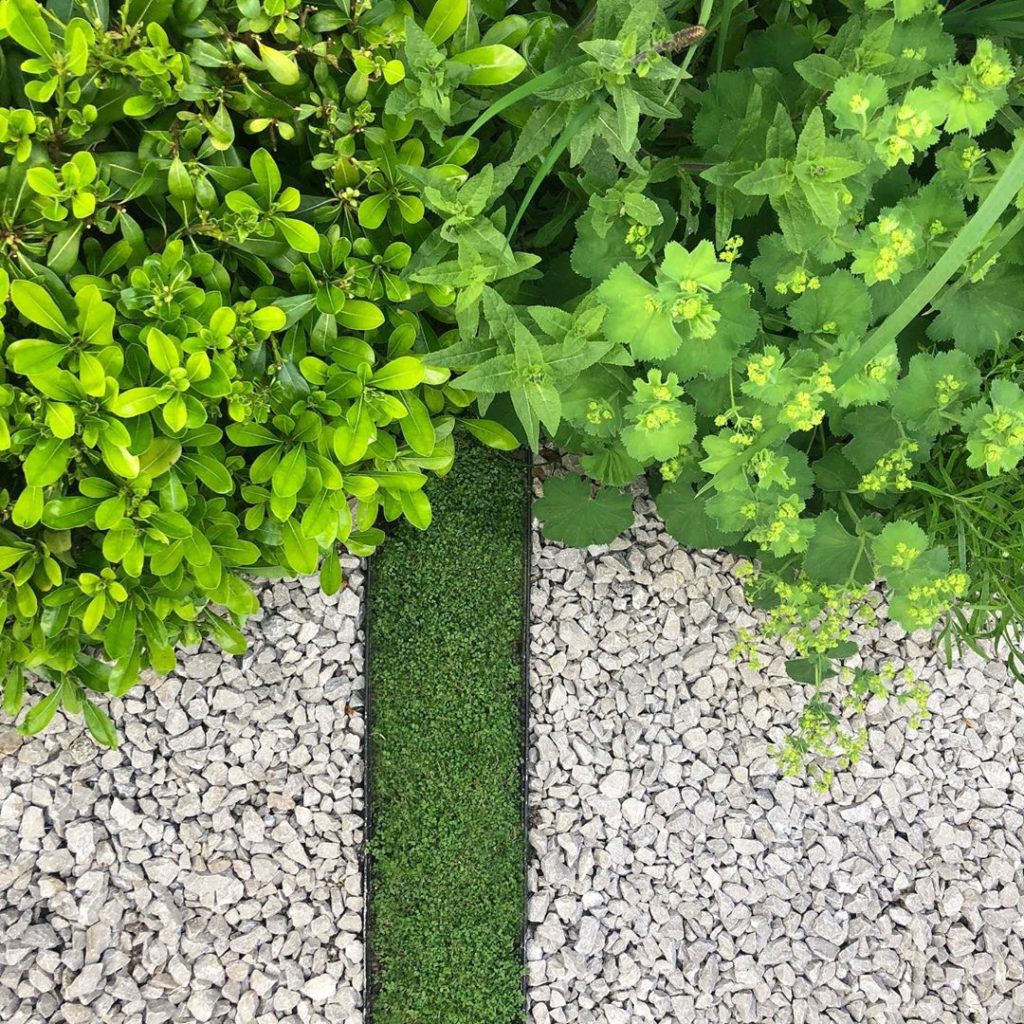 Last memories of #summer before we head for the #longestday #planting #detail #g...