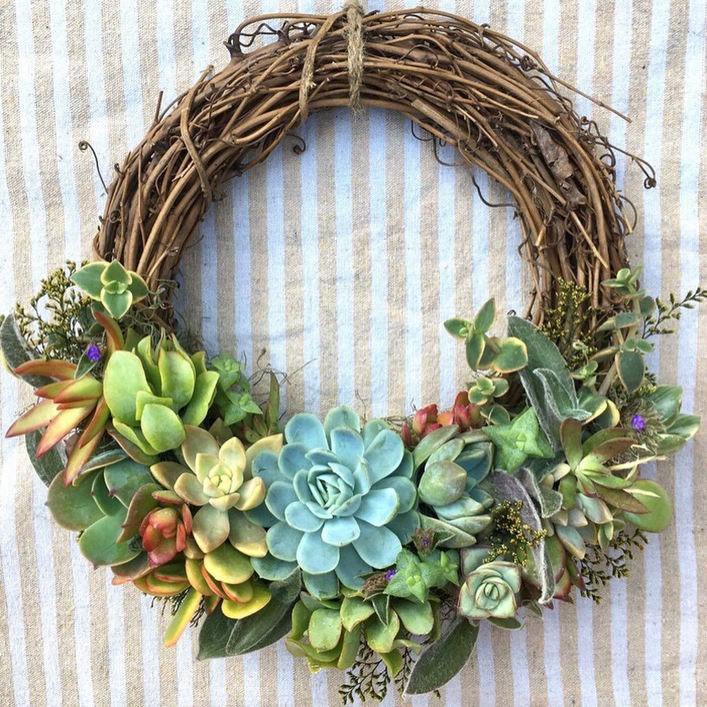 thesill: December workshops are extra festive this year! Join us for holiday-themed even… December workshops are extra festive this year! Join us for holiday-themed even...