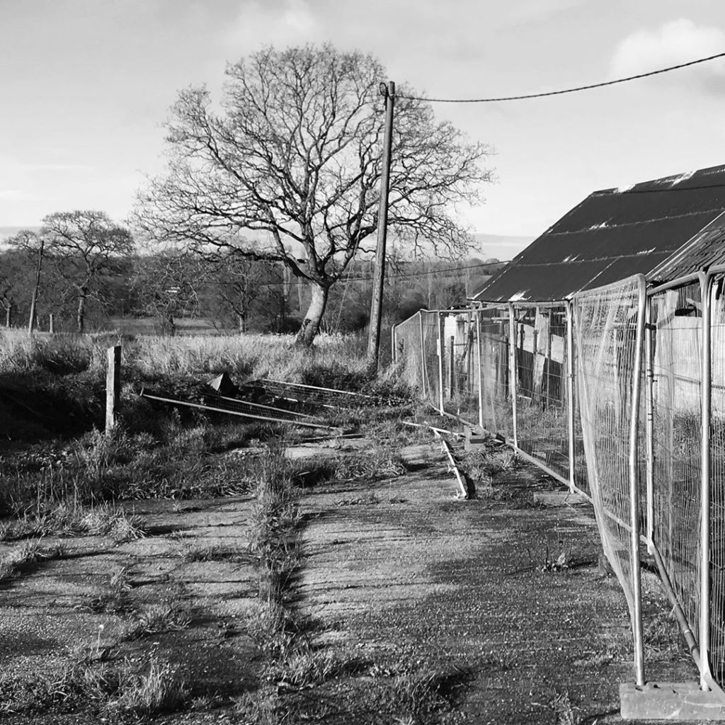 Site visit #oak #landscape #somedaysomethingwillhappen #landscapedesign #patienc...