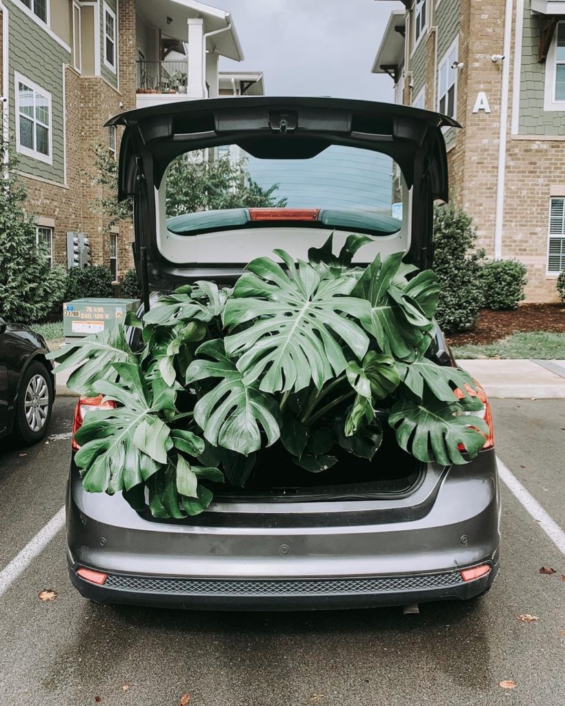 Plants on the go.  Brilliant transportation ideas via @vardengardens...